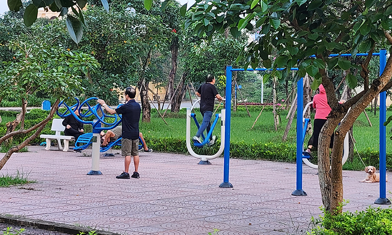 Về chúng tôi tại việt phát