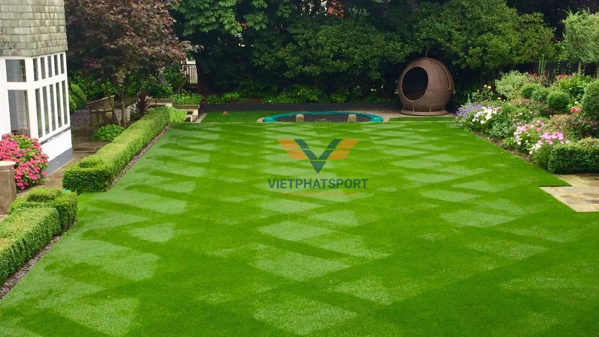 THI CÔNG SÂN THỂ THAO