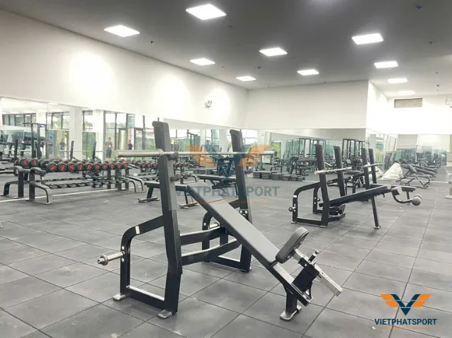 THIẾT BỊ PHÒNG GYM