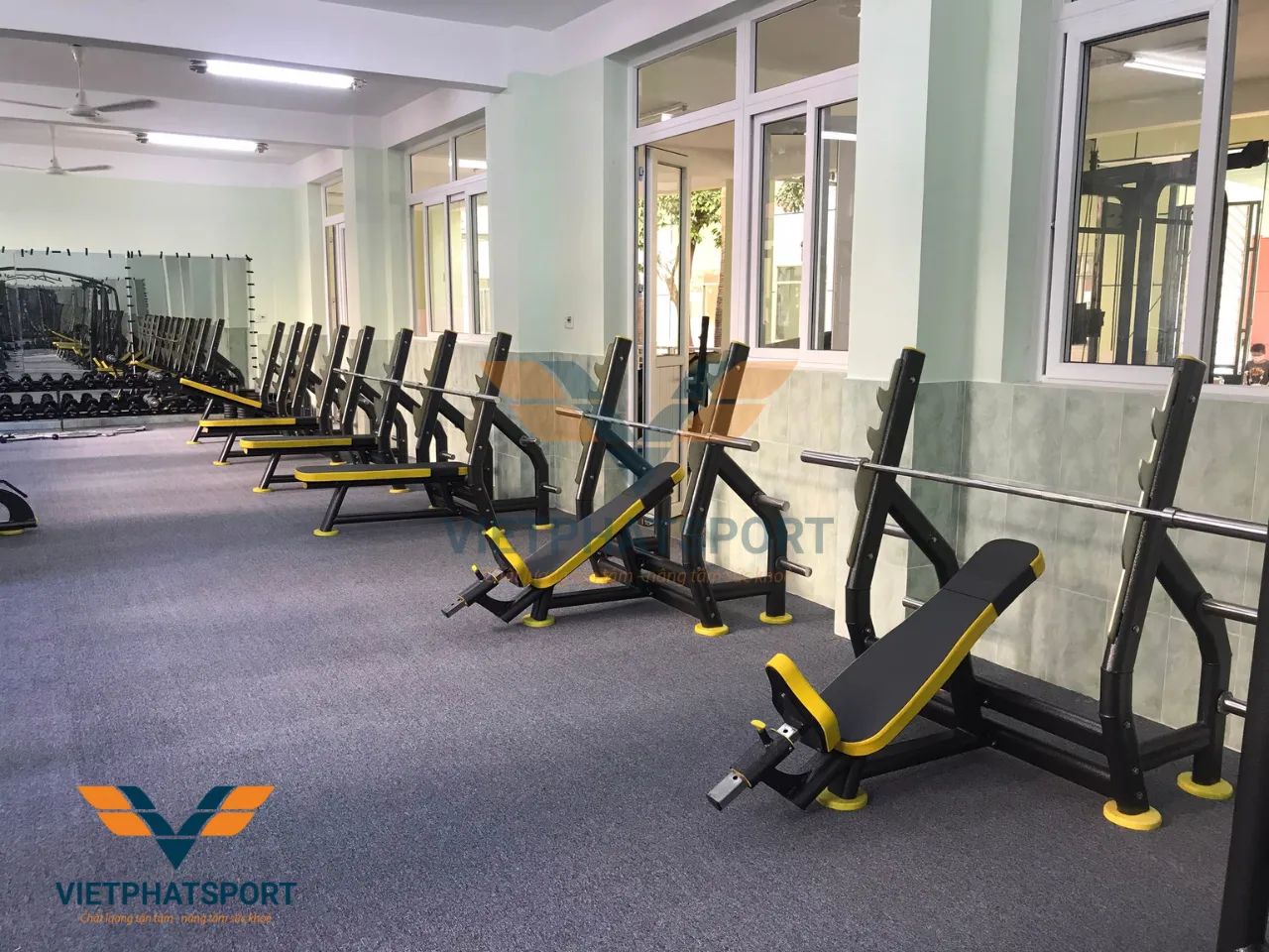 THIẾT BỊ PHÒNG GYM