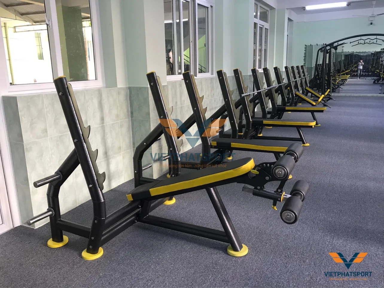 THIẾT BỊ PHÒNG GYM