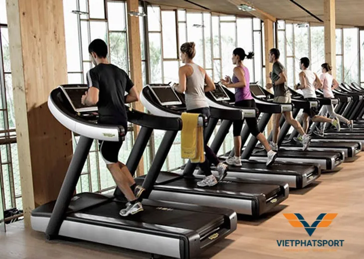 THIẾT BỊ PHÒNG GYM