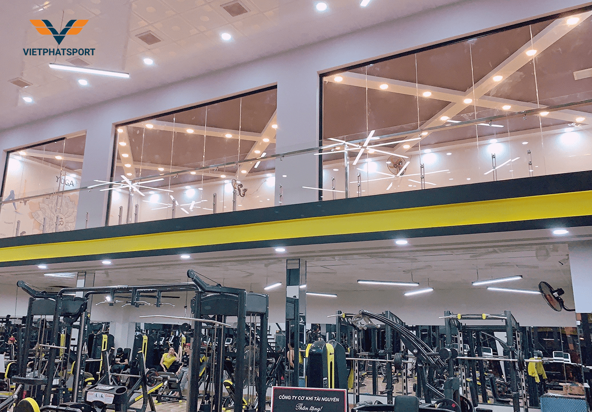 Các Loại Dụng Cụ Thể Thao Phổ Biến Cho Mọi Không Gian tại việt phát