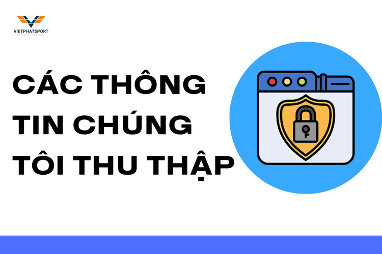 Các Thông Tin Chúng Tôi Thu Thập tại việt phát