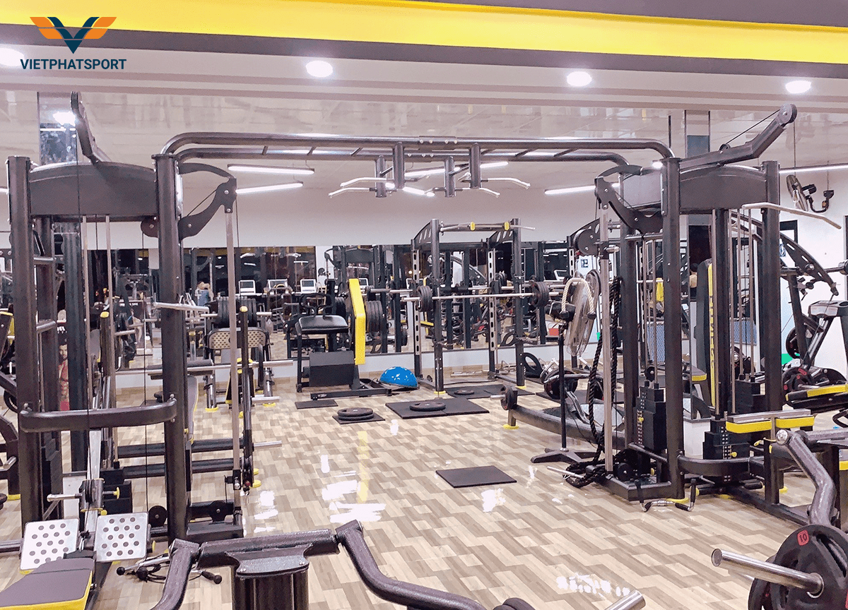 Cách Chọn Dụng Cụ Thể Thao Phù Hợp Cho Mọi Không Gian tại việt phát