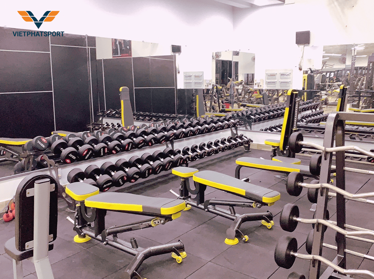 Lợi Ích Của Dụng Cụ Thể Thao Trong Các Dự Án Cộng Đồng: Tạo Nên Một Môi Trường Sống Năng Động Và Lành Mạnh tại việt phát