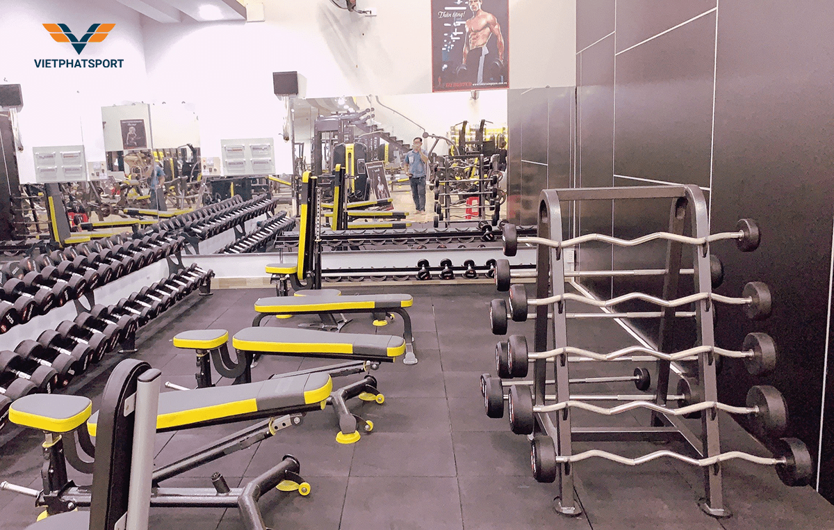 Lựa Chọn Thiết Bị Thể Thao Phù Hợp Với Diện Tích Không Gian tại việt phát