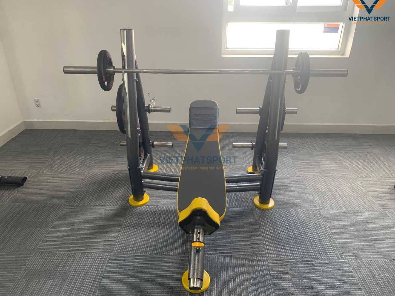Chung Cư Tara TP.HCM Lắp Đặt Thiết Bị Phòng Gym Cho Cư Dân