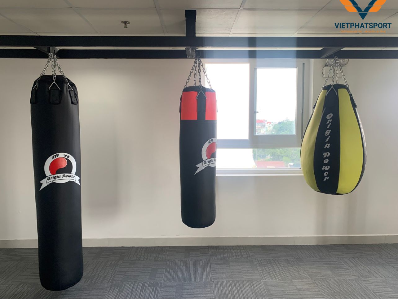 Chung Cư Tara TP.HCM Lắp Đặt Thiết Bị Phòng Gym Cho Cư Dân
