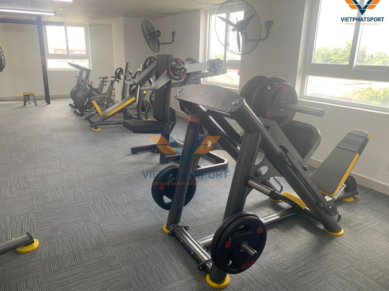 Chung Cư Tara TP.HCM Lắp Đặt Thiết Bị Phòng Gym Cho Cư Dân