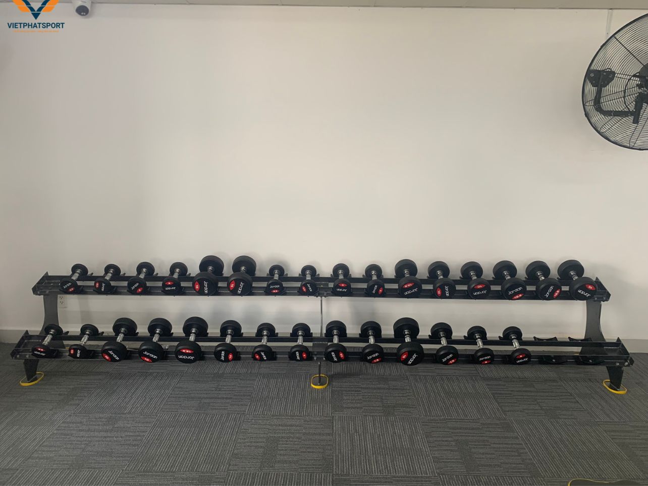Chung Cư Tara TP.HCM Lắp Đặt Thiết Bị Phòng Gym Cho Cư Dân