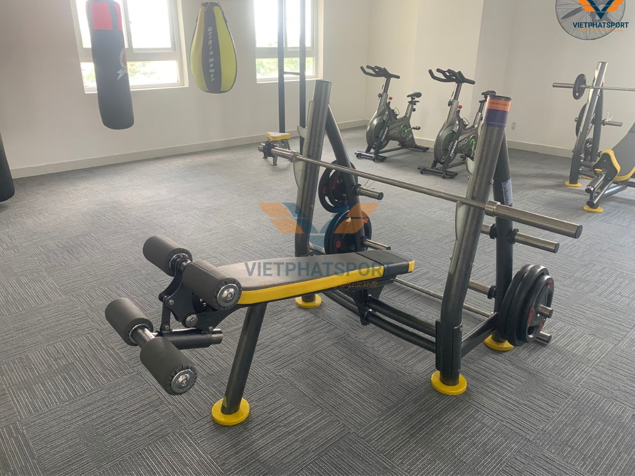 Chung Cư Tara TP.HCM Lắp Đặt Thiết Bị Phòng Gym Cho Cư Dân