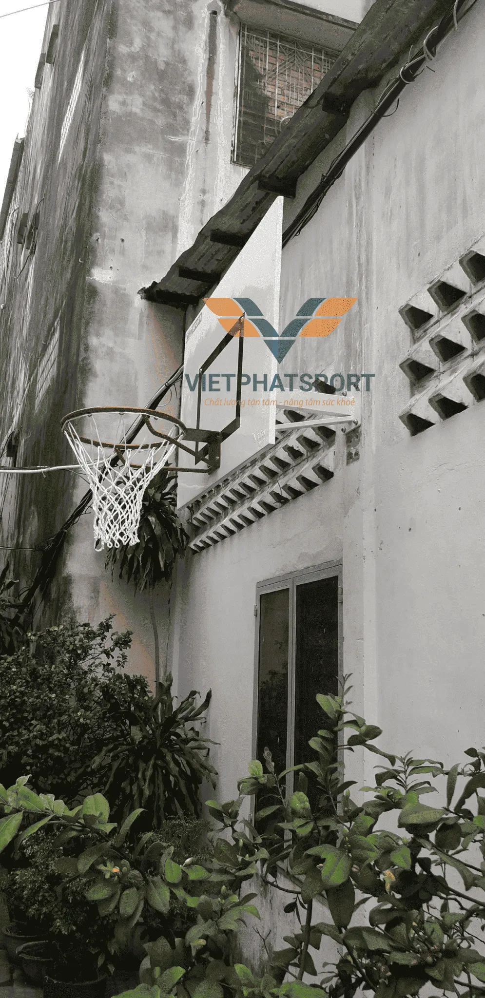 BẢNG RỔ TREO TƯỜNG 802460