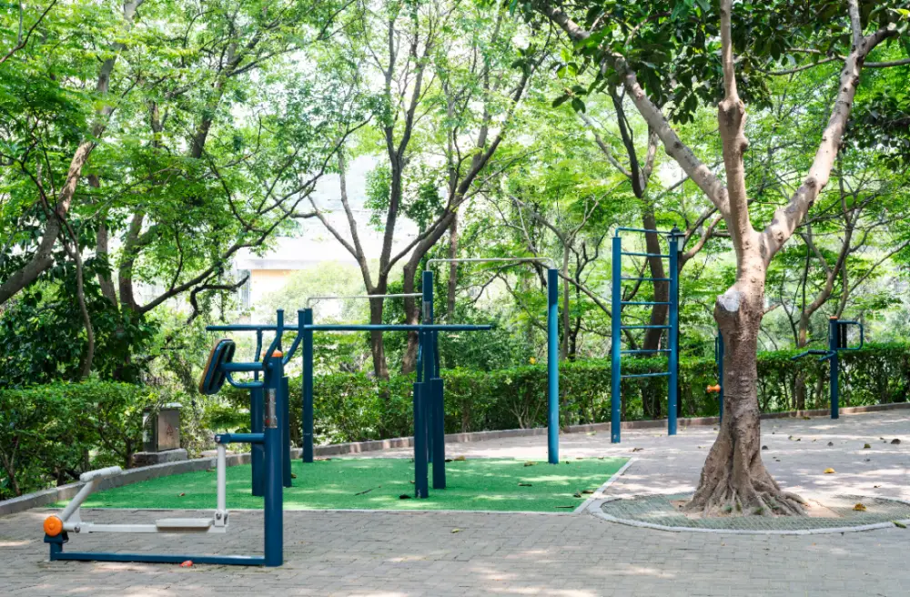 Về chúng tôi tại việt phát