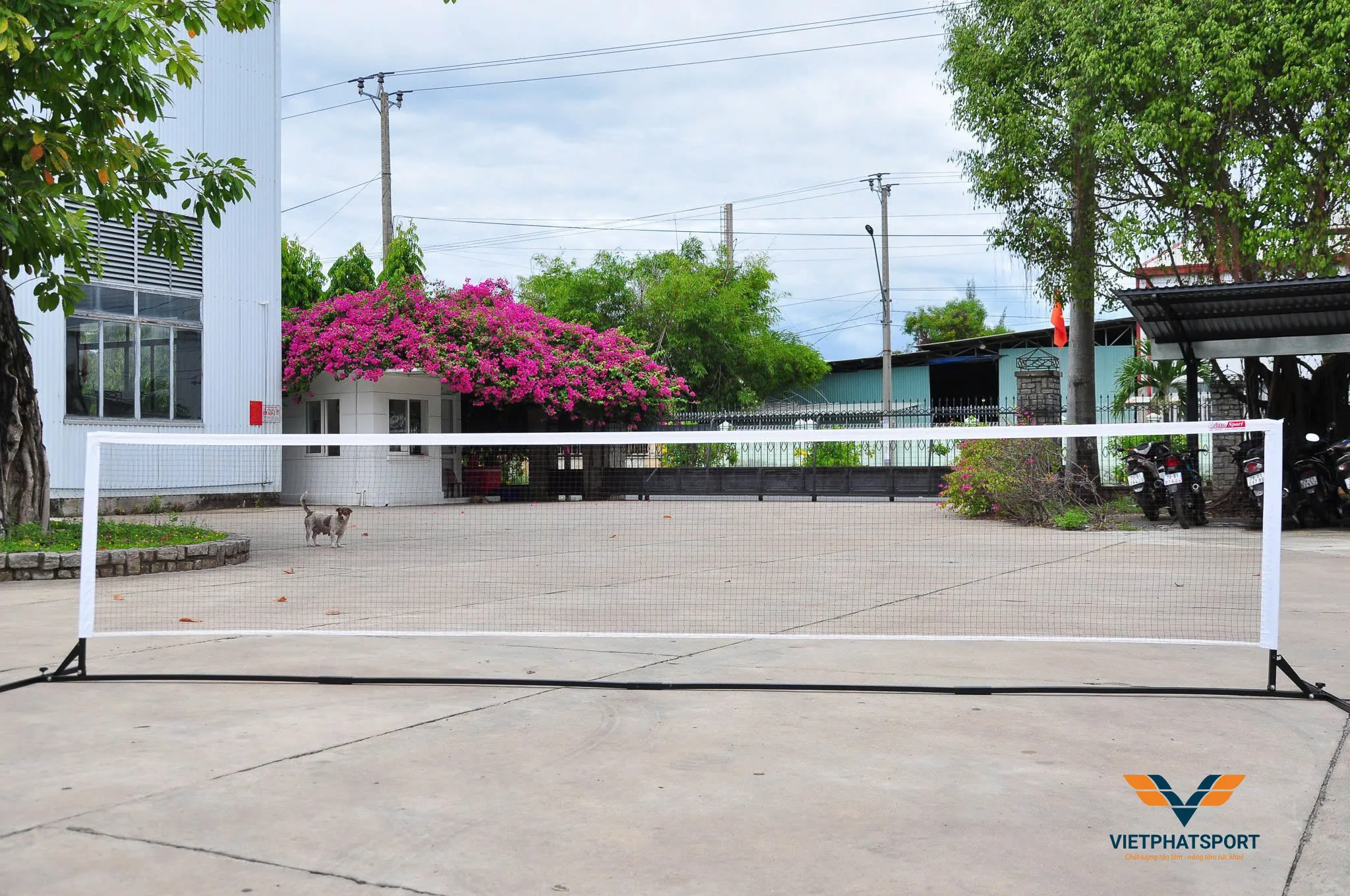 LƯỚI PICKLEBALL TẬP LUYỆN 306020