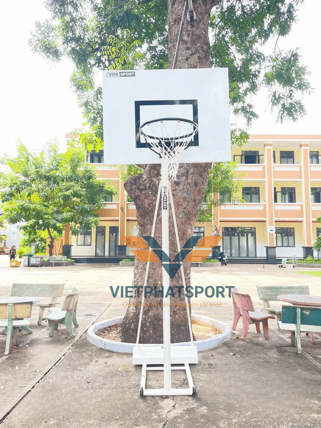 Vì sao trường học TPHCM luôn chọn Việt Phát Sport để mua trụ bóng rổ?